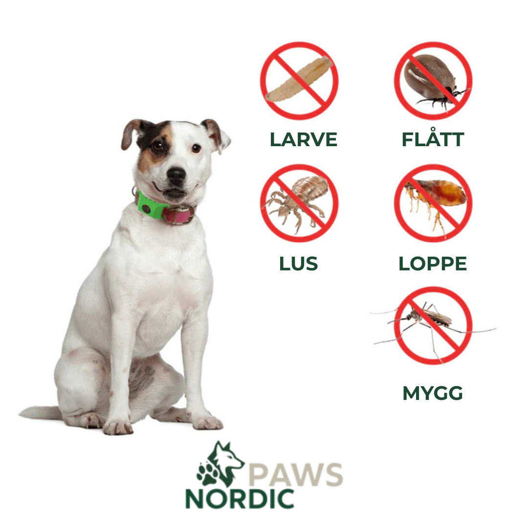 Nordic Paws Insektsavviser