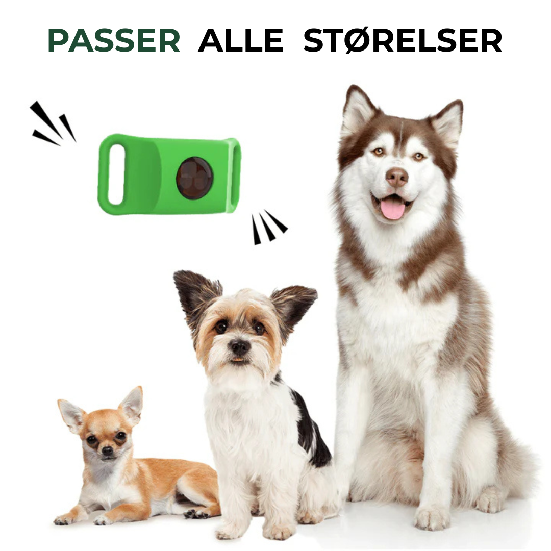 Nordic Paws Insektsavviser